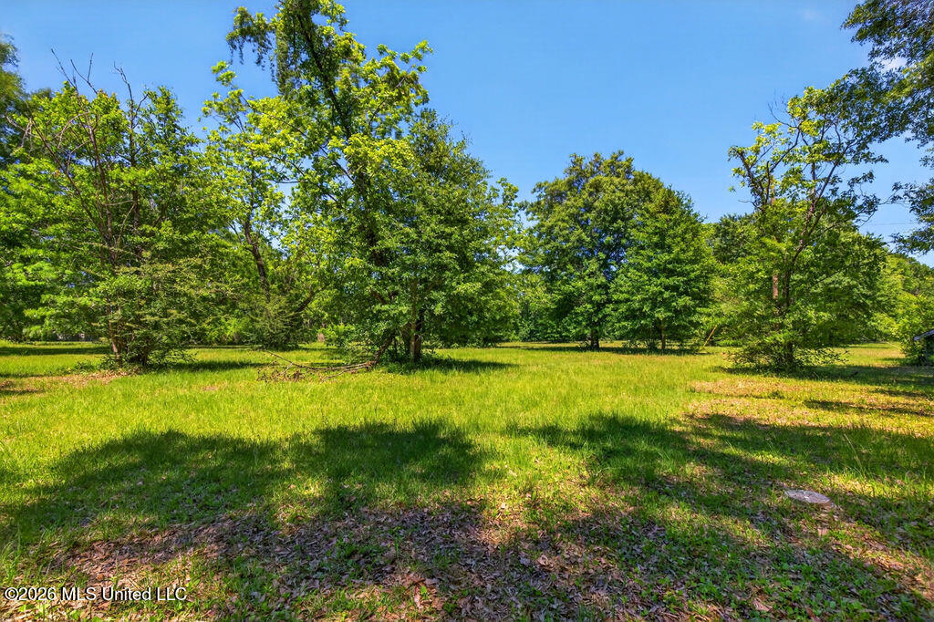 12204 Oneal Road Gulfport, MS 39503 - Photo 6 of 20 O'Neal Road Acreage