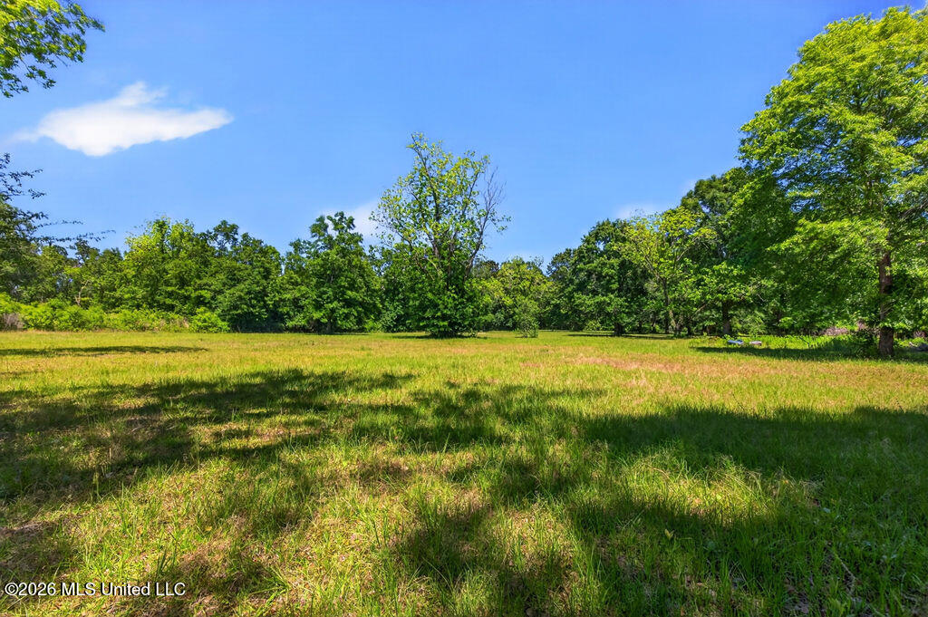 12204 Oneal Road Gulfport, MS 39503 - Photo 7 of 20 O'Neal Road Acreage