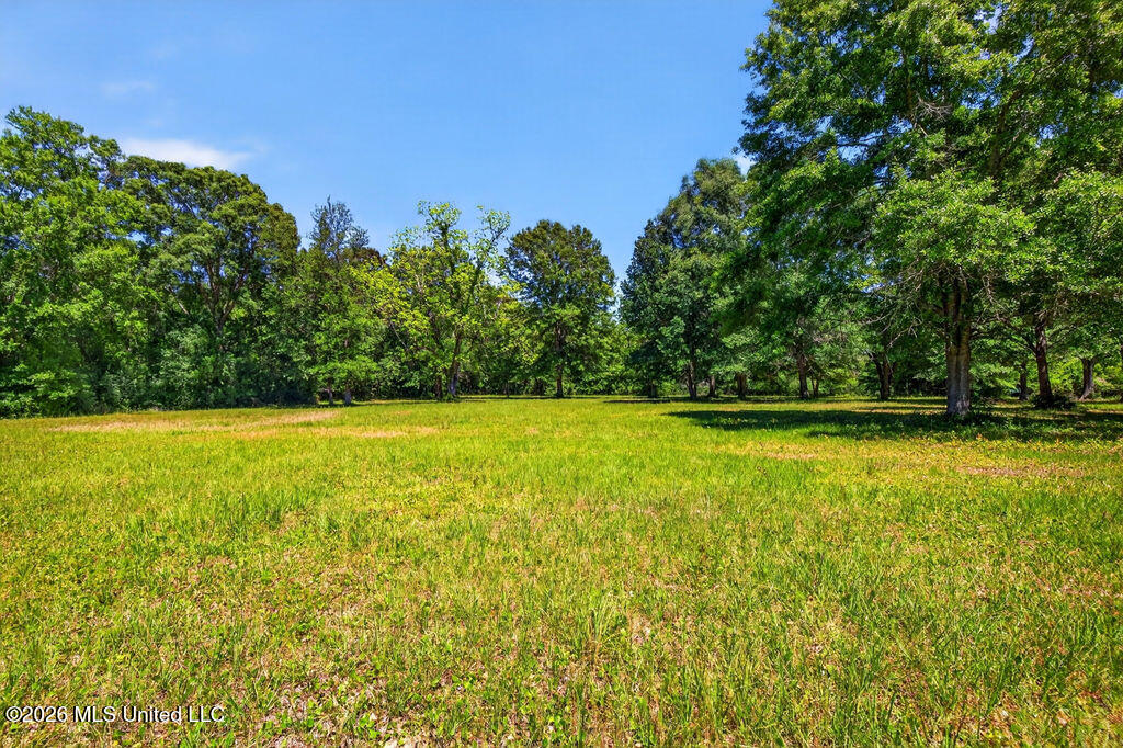 12204 Oneal Road Gulfport, MS 39503 - Photo 8 of 20 O'Neal Road Acreage