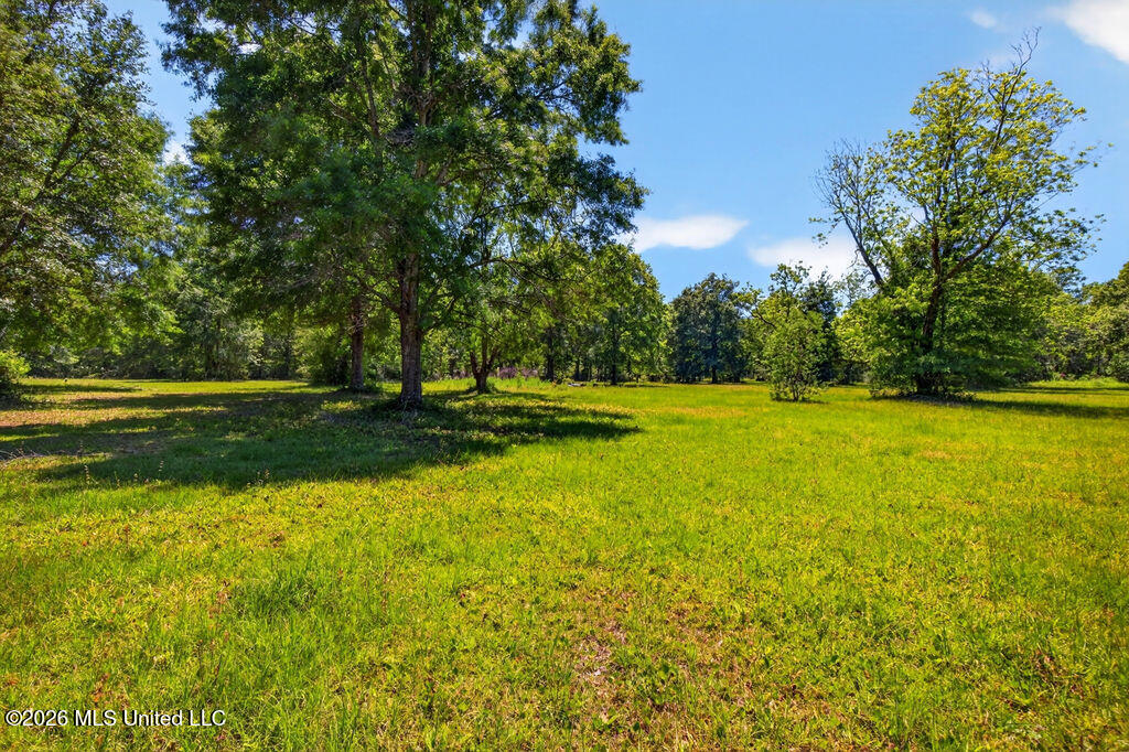 12204 Oneal Road Gulfport, MS 39503 - Photo 9 of 20 O'Neal Road Acreage