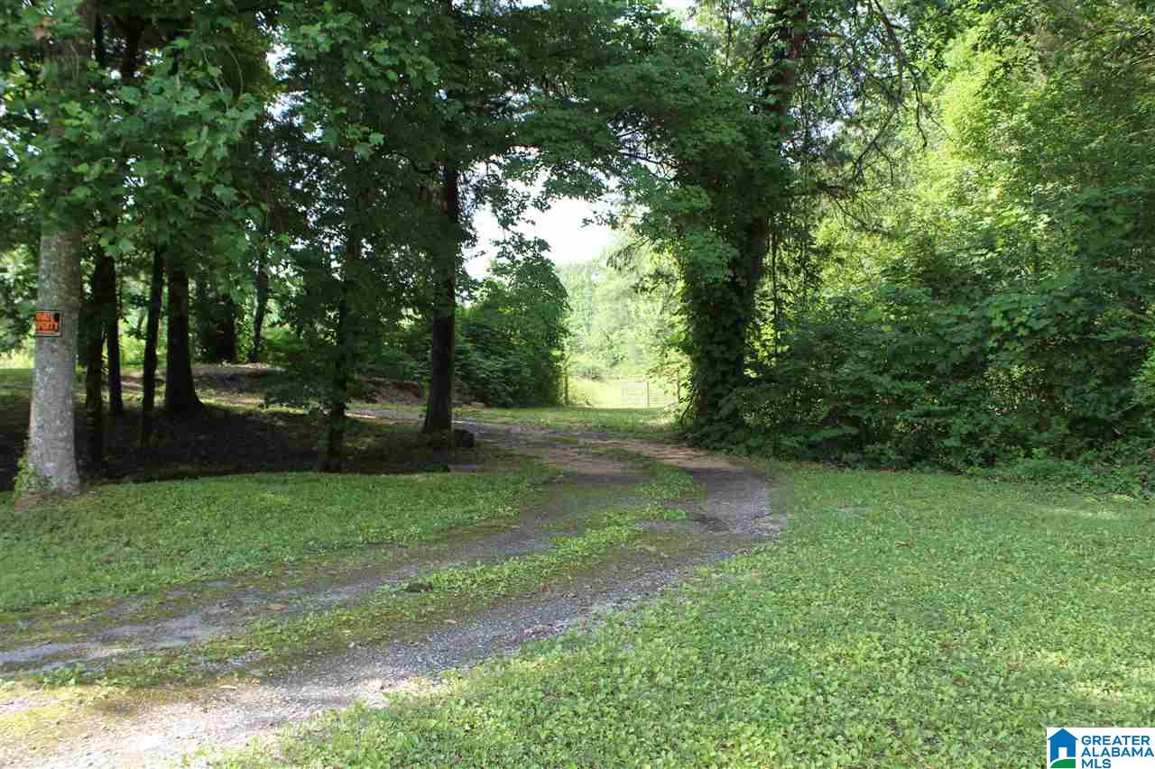 2727 Marvel Road Brierfield, AL 35035 - Photo 17 of 22