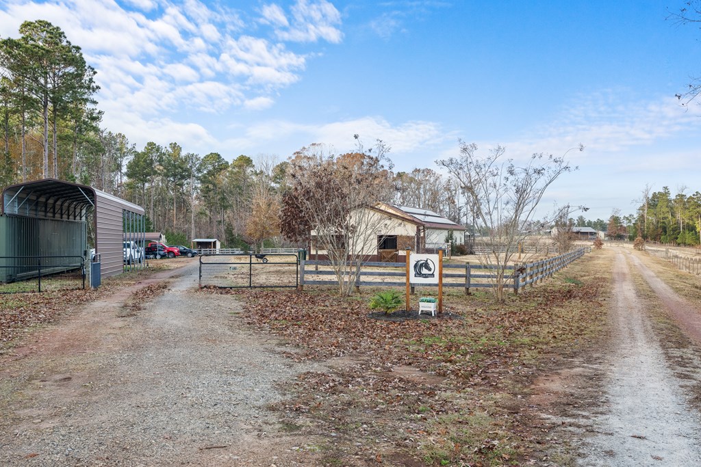 181 Tuck Road Bradley, SC 29819 - Photo 16 of 43 Gallery Image 16