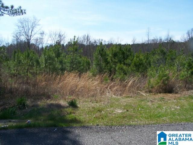 0 Mitchellville Road, Unit ACREAGE Lincoln, AL 35096 - Photo 3 of 19