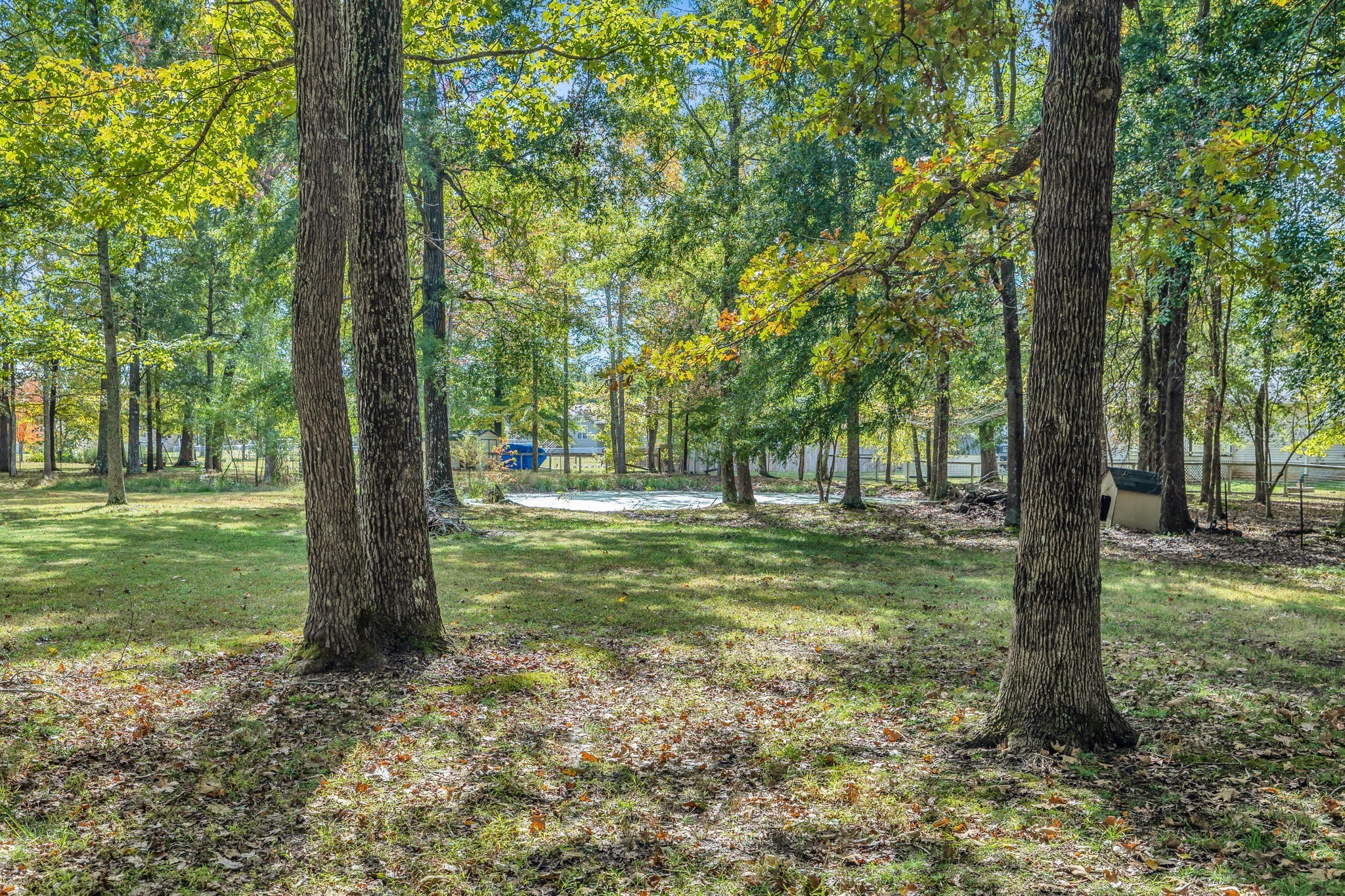 1273 Cedar Grove Road Lebanon, TN 37087 - Photo 49 of 52 a view of a trees in a yard