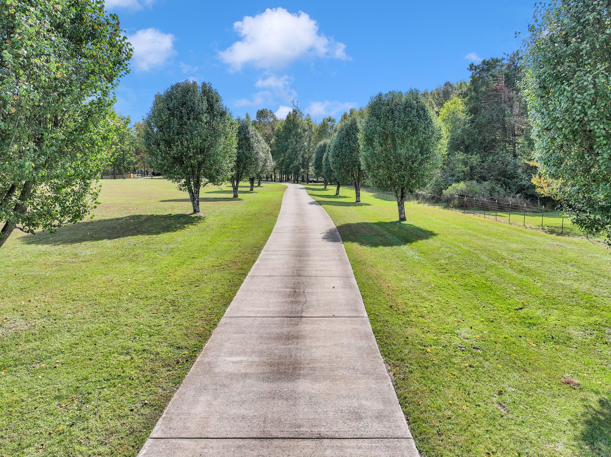 1273 Cedar Grove Road Lebanon, TN 37087 - Photo 50 of 52 a park with large trees