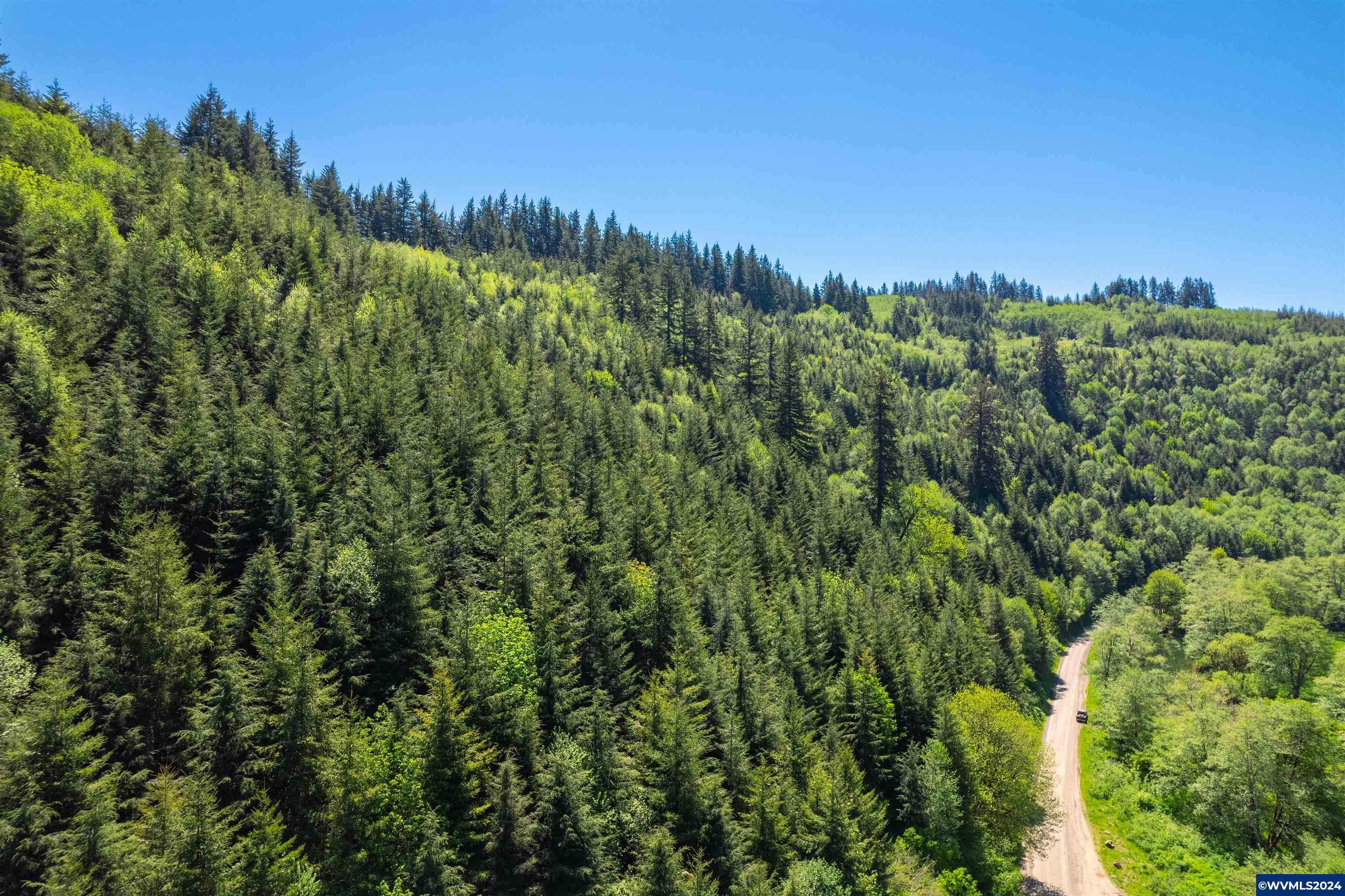 0 Harlan Road Toledo, OR 97391 - Photo 21 of 27