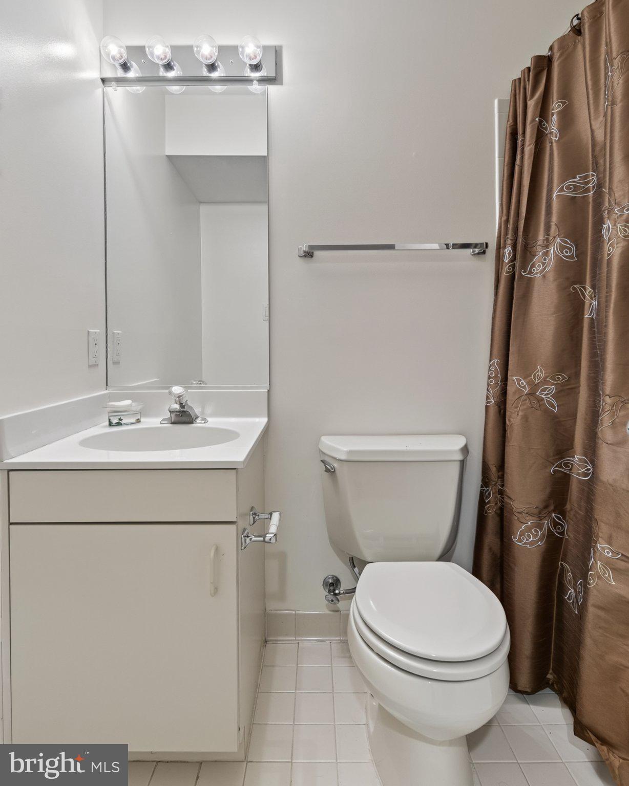 1987 Lakeport Way Reston, VA 20191 - Photo 48 of 56 Lower Level Full Bathroom