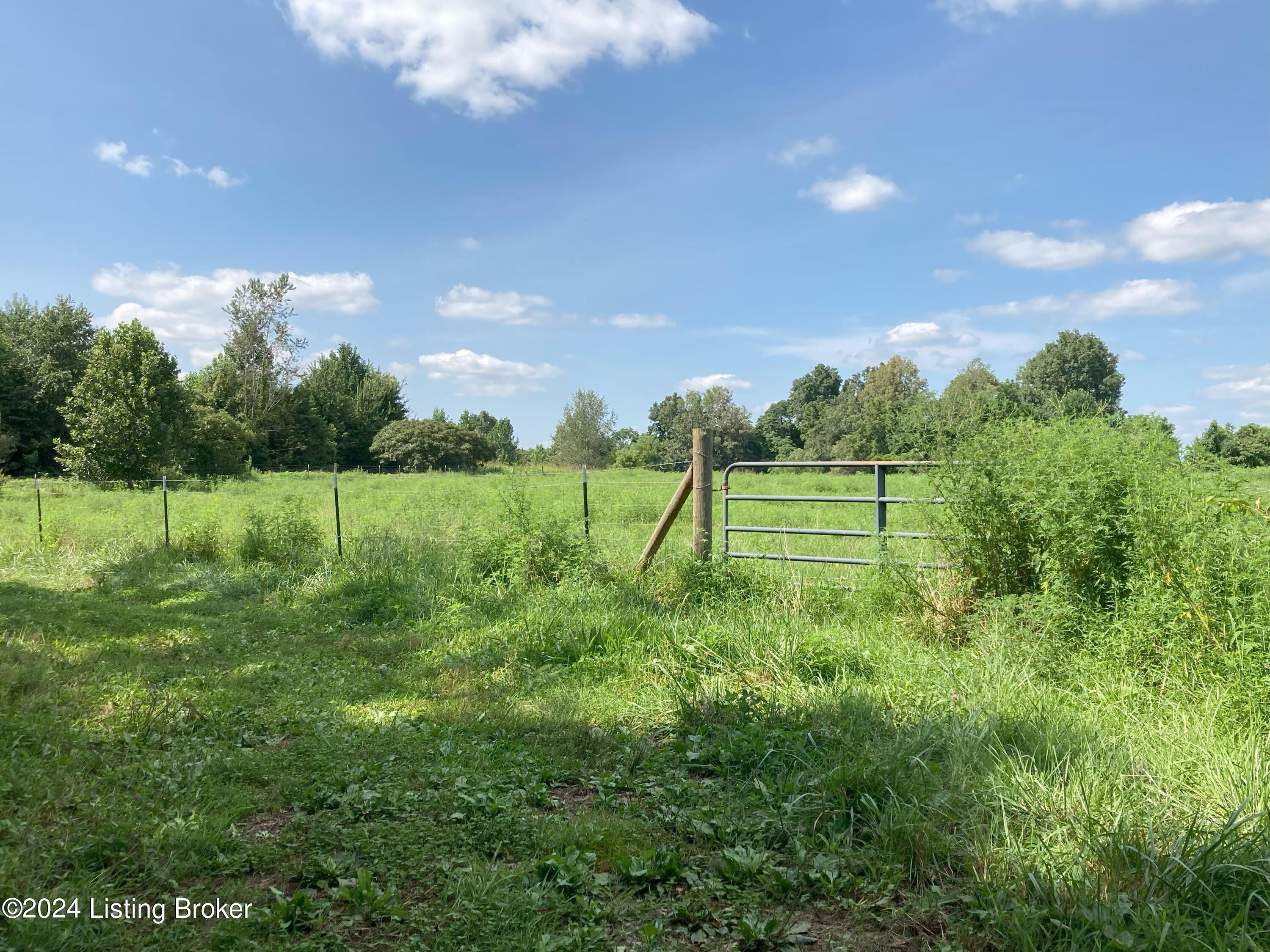 4372 Rube Smith Road Canmer, KY 42722 - Photo 81 of 82 Land 16