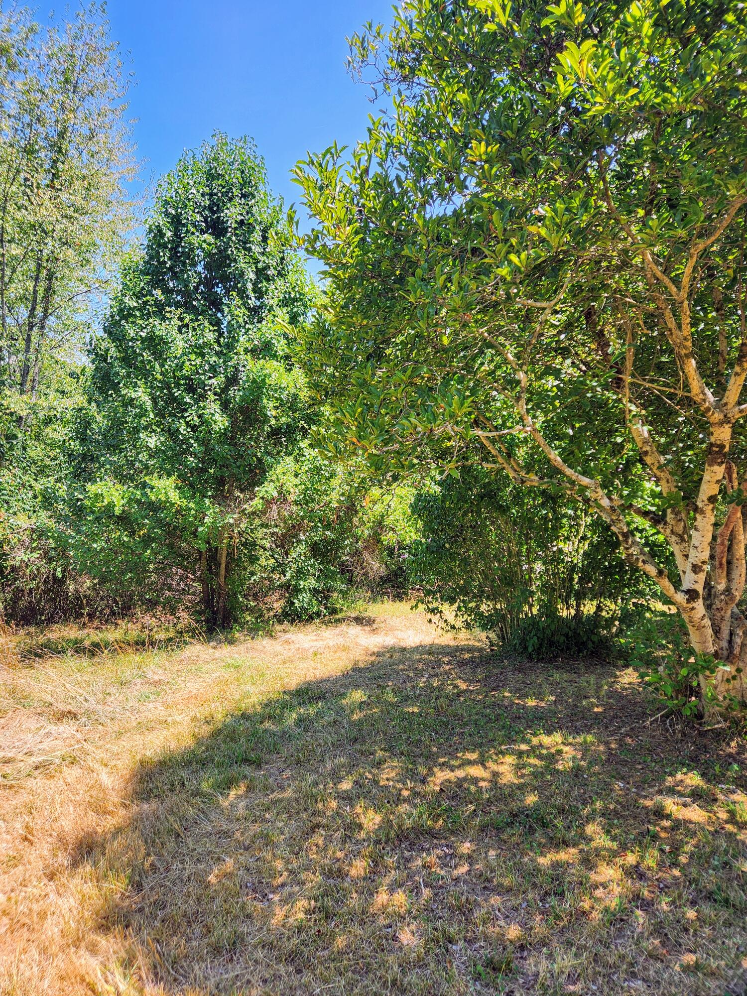 8159 Winchester Road Clay City, KY 40312 - Photo 4 of 23 Hwy 15 26
