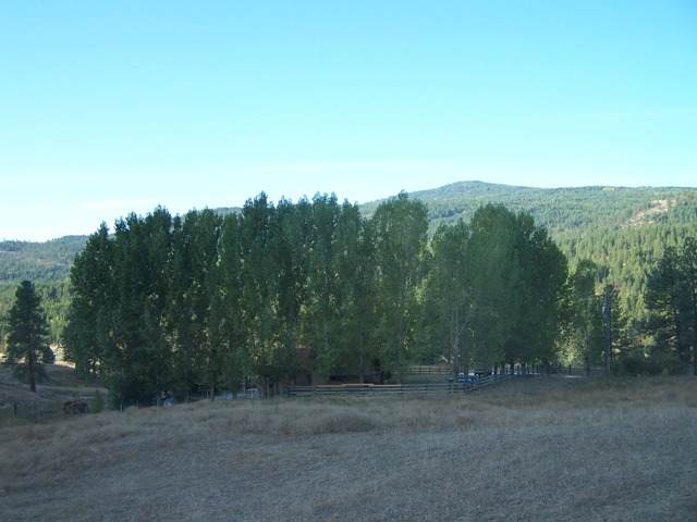 3285 Orient Cutoff Road Kettle Falls, WA 99141 - Photo 6 of 8 Gallery Image 6