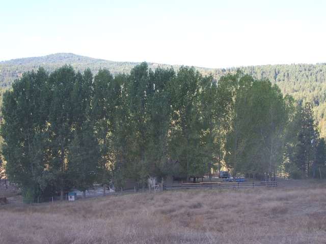 3285 Orient Cutoff Road Kettle Falls, WA 99141 - Photo 8 of 8 Gallery Image 8