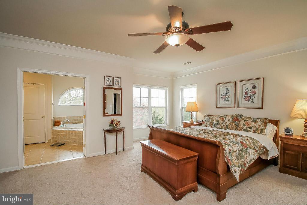 9097 Roaring Spring Loop Bristow, VA 20136 - Photo 13 of 29 Bedroom (Master)