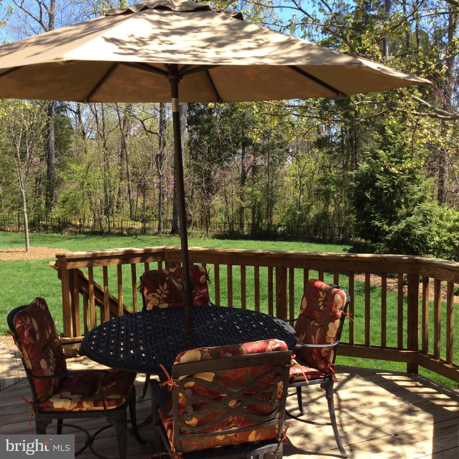 9097 Roaring Spring Loop Bristow, VA 20136 - Photo 28 of 29 Exterior (Rear)