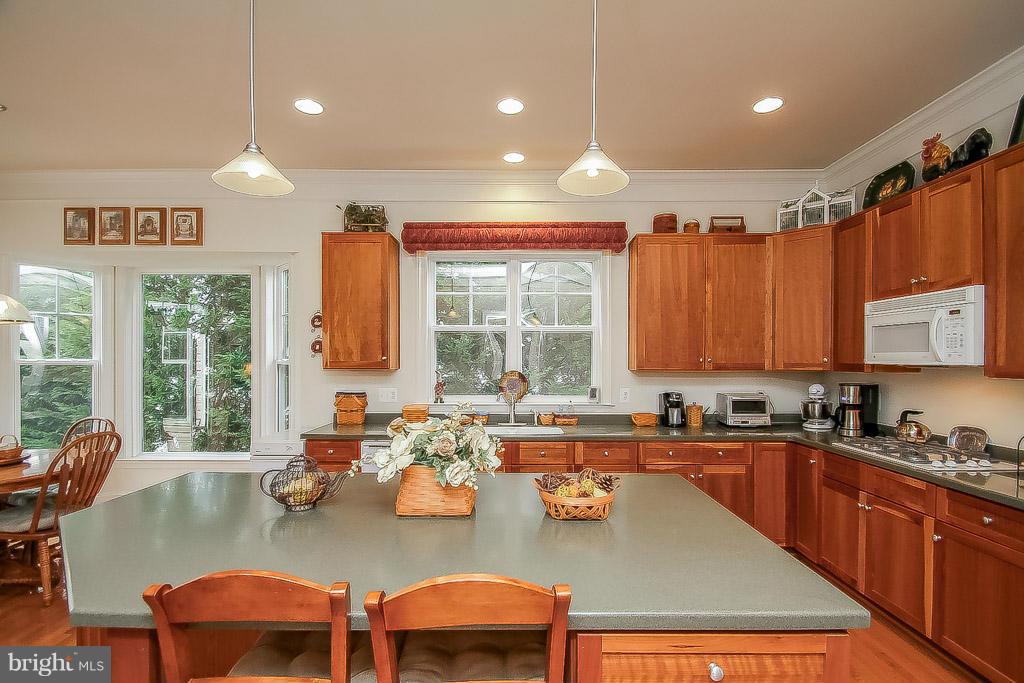 9097 Roaring Spring Loop Bristow, VA 20136 - Photo 5 of 29 Kitchen
