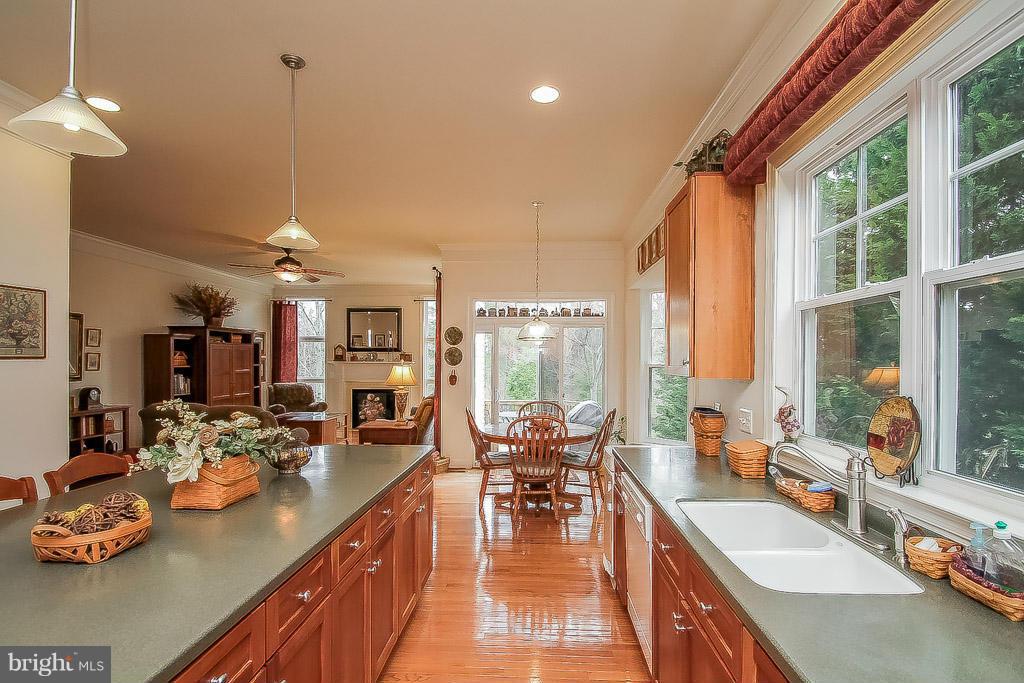 9097 Roaring Spring Loop Bristow, VA 20136 - Photo 7 of 29 Kitchen