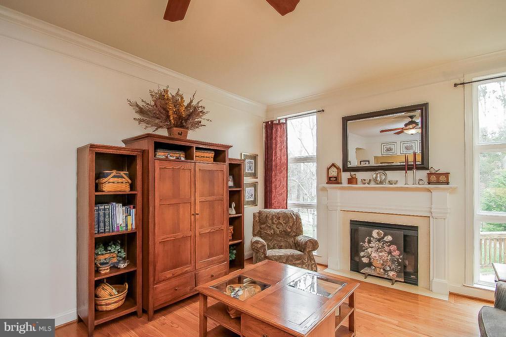 9097 Roaring Spring Loop Bristow, VA 20136 - Photo 10 of 29 Family Room