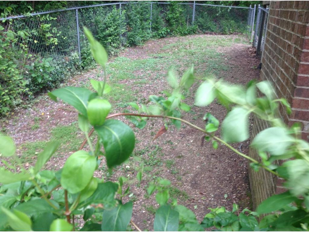 118 Wonder Valley Road Bristol, TN 37620 - Photo 21 of 36 Dog Lot