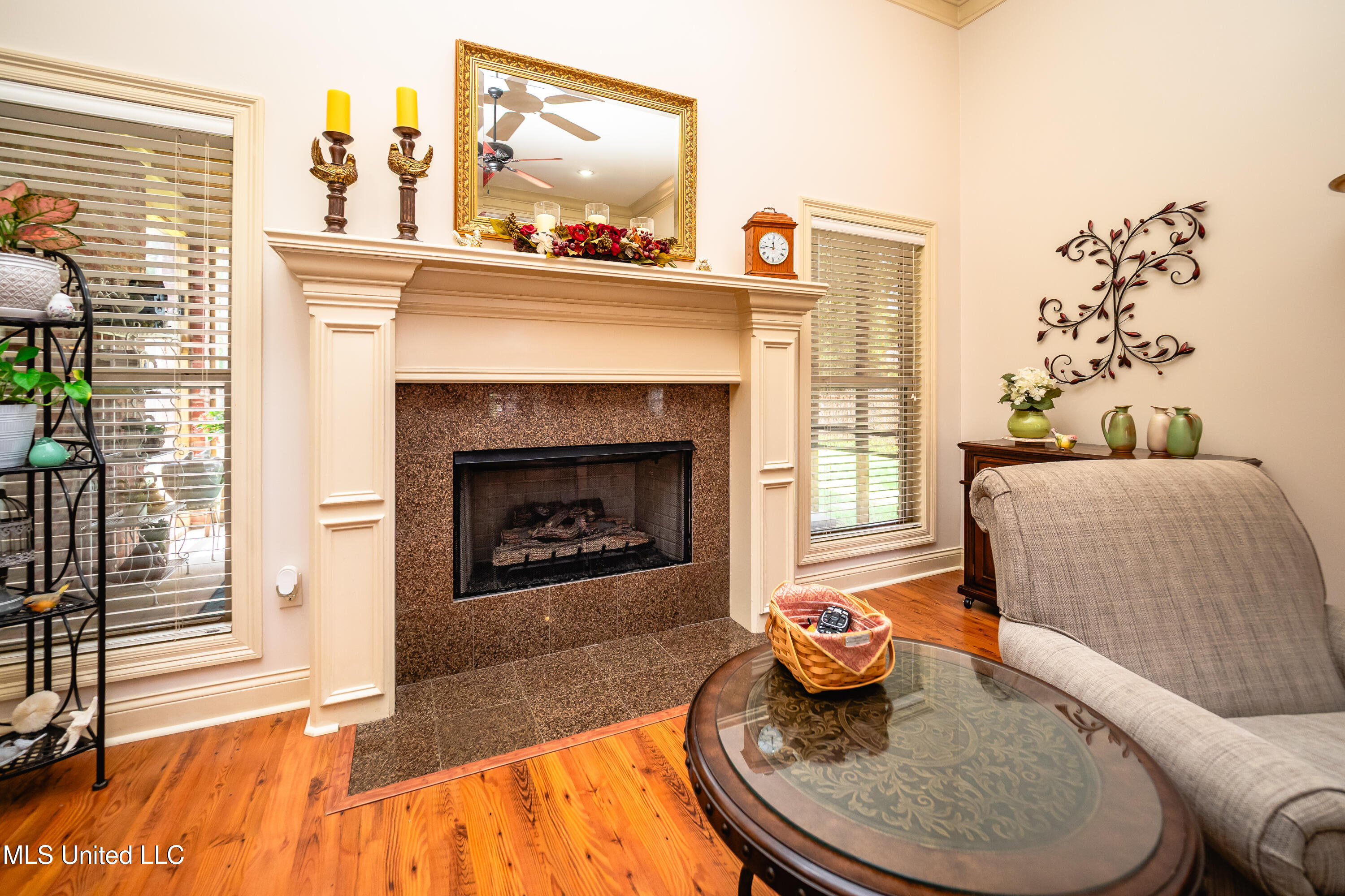704 Tortoise Ridge Brandon, MS 39047 - Photo 5 of 40 P6040050