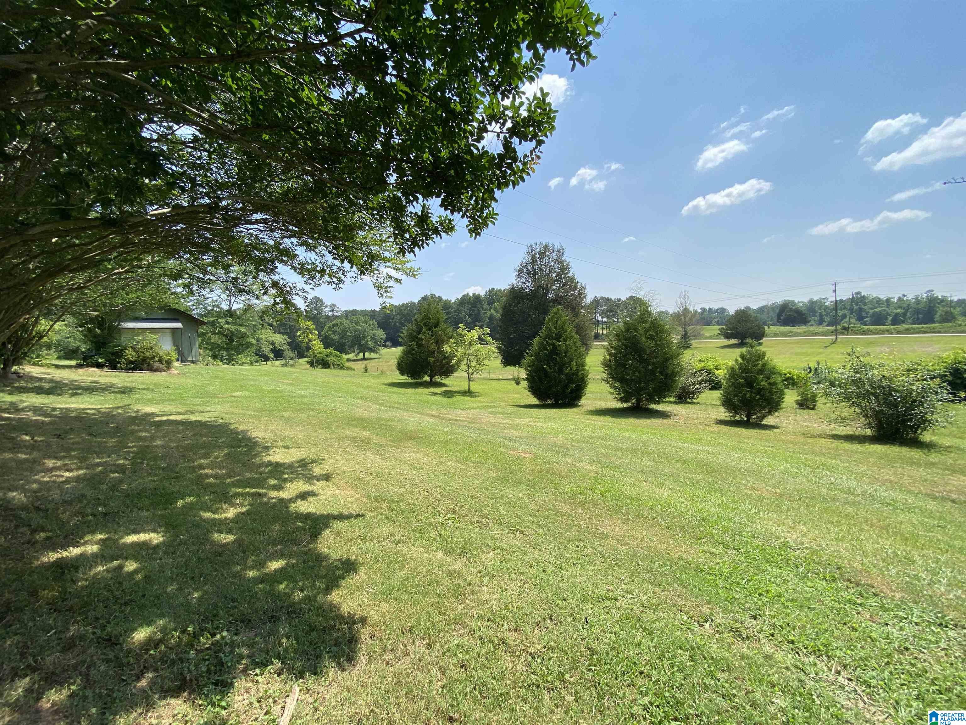 1505 Camp Creek Road Cropwell, AL 35054 - Photo 39 of 48