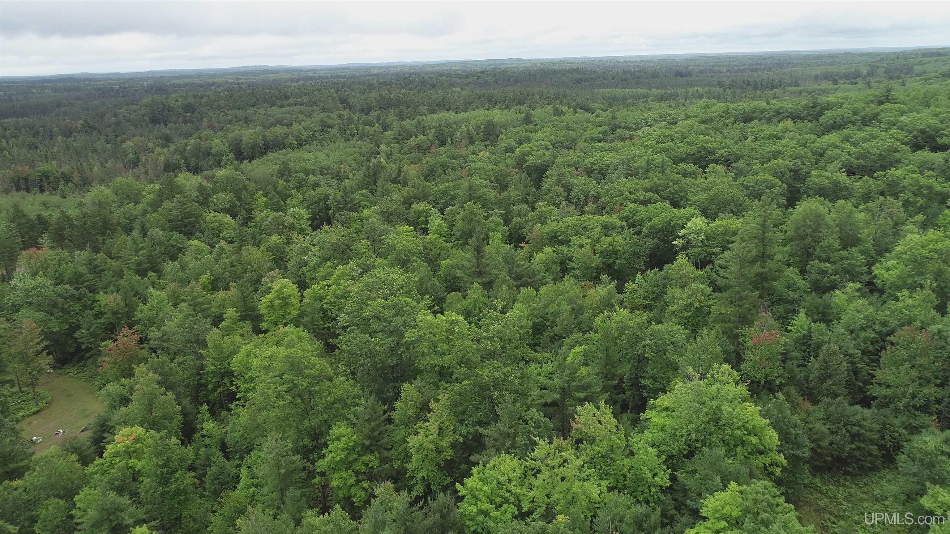 565 County Road 565 Road Gwinn, MI 49841 - Photo 29 of 35