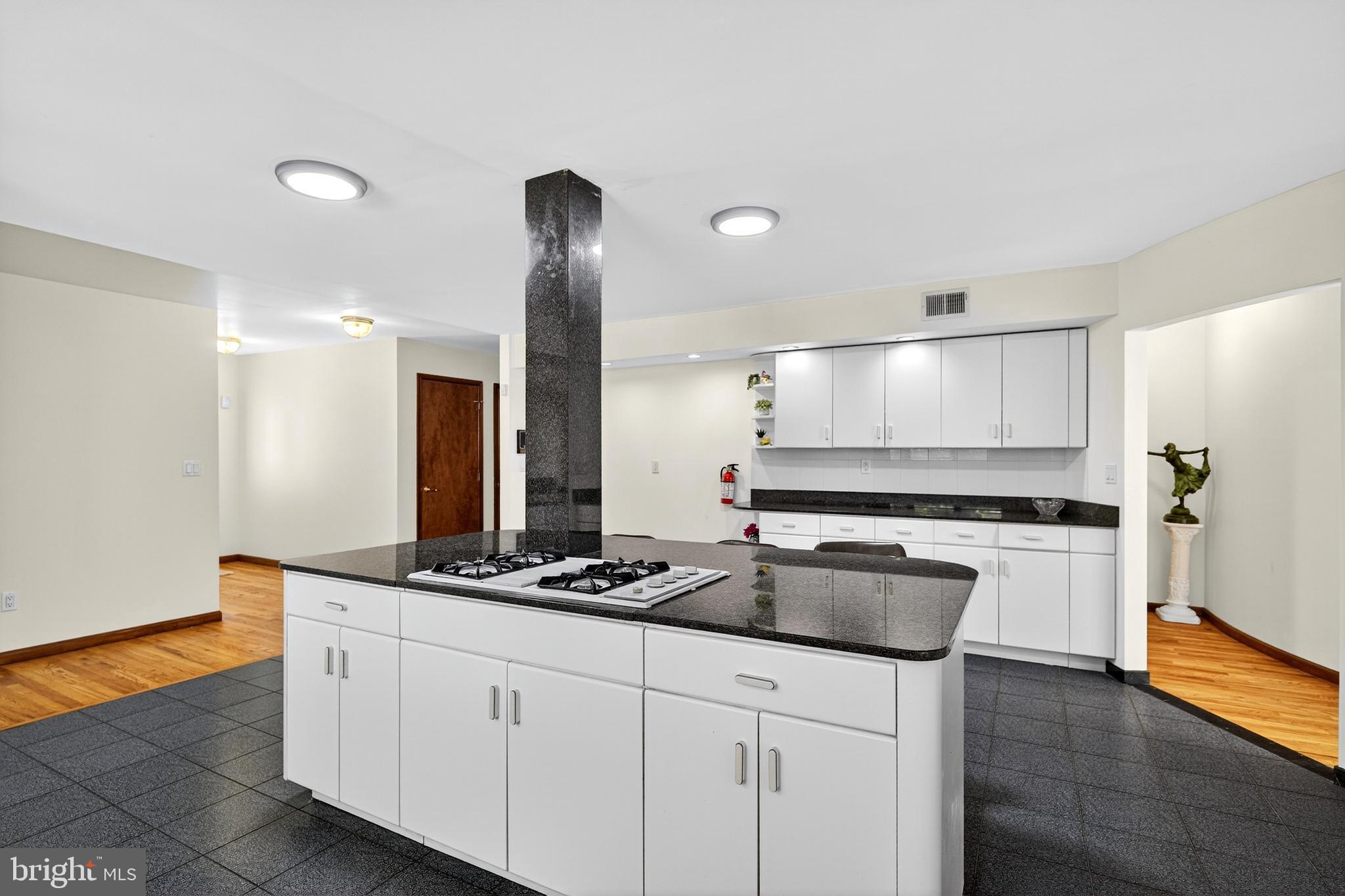 16 Benedek Road Princeton, NJ 08540 - Photo 19 of 60 a kitchen with stainless steel appliances a sink stove and cabinets