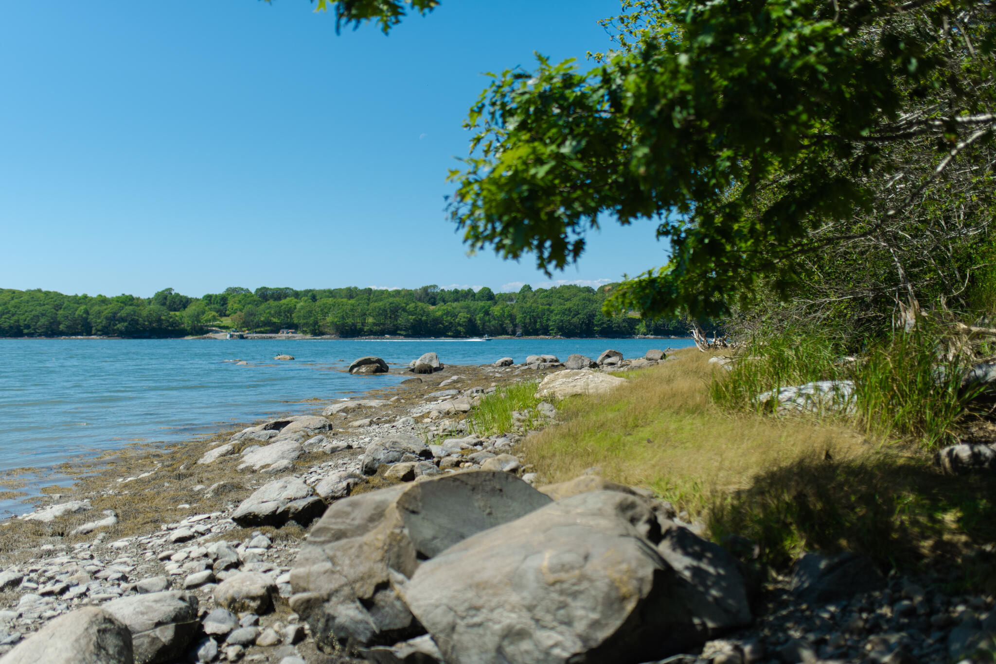 33 Rocking Horse Lane St. George, ME 04860 - Photo 38 of 46 33RHL-14