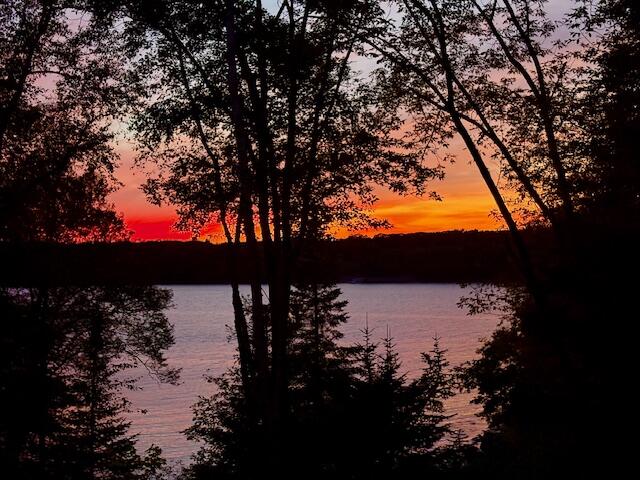 33 Rocking Horse Lane St. George, ME 04860 - Photo 4 of 46 IMG_2851