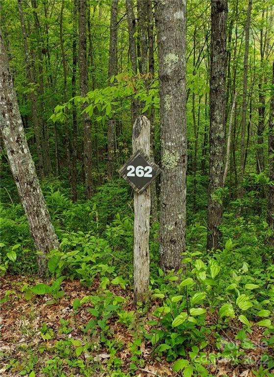 262 Tote Road, Unit 262 Sylva, NC 28779 - Photo 3 of 18 a view of yard