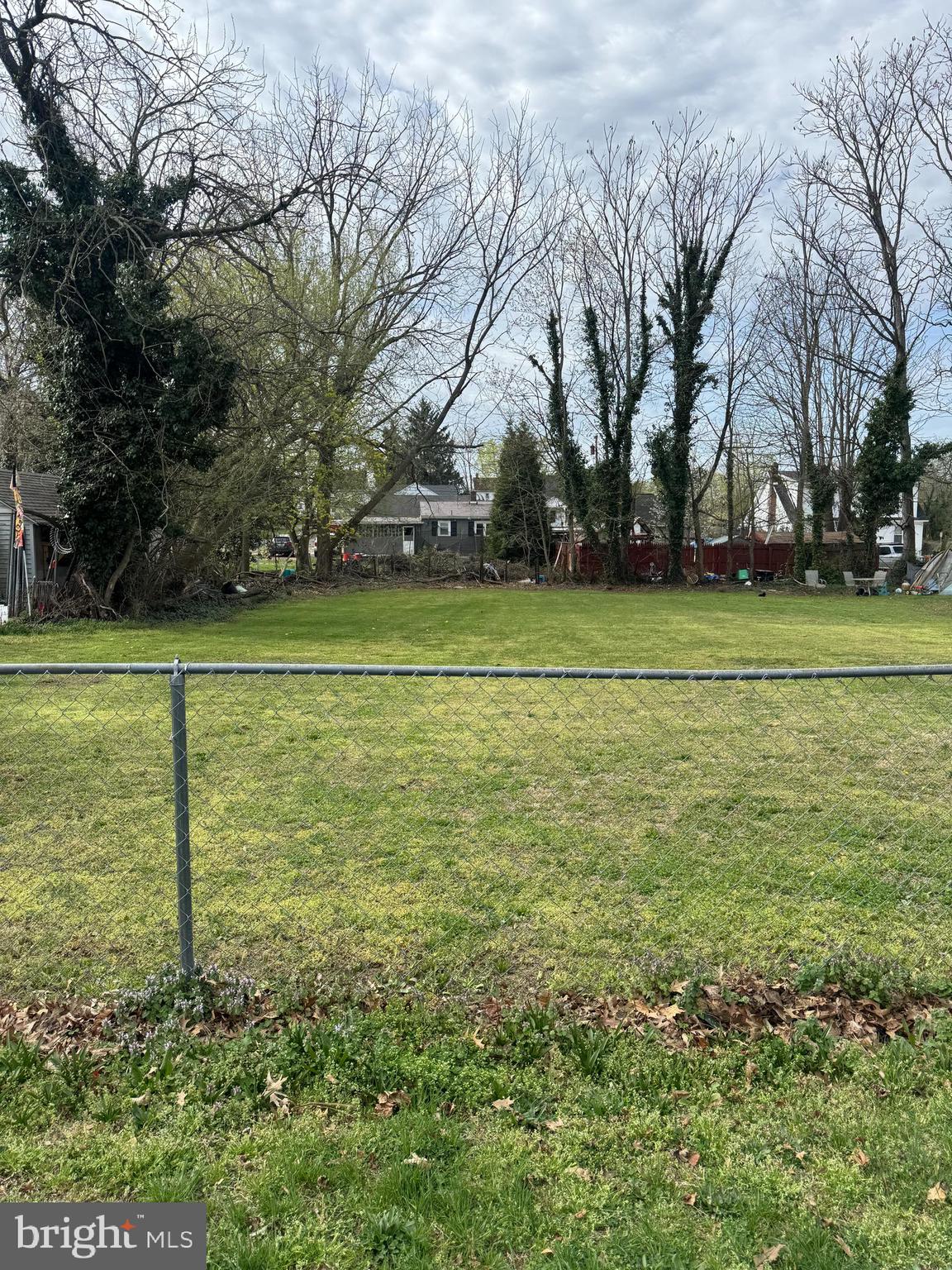 a view of a field with trees