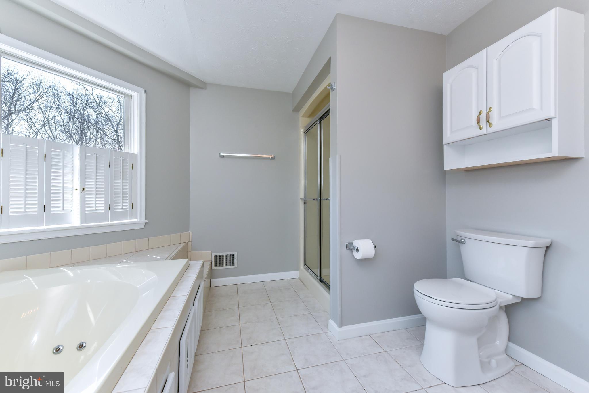 64 Rowlandsville Road Conowingo, MD 21918 - Photo 19 of 30 OWNER'S BATH W/JETTED TUB