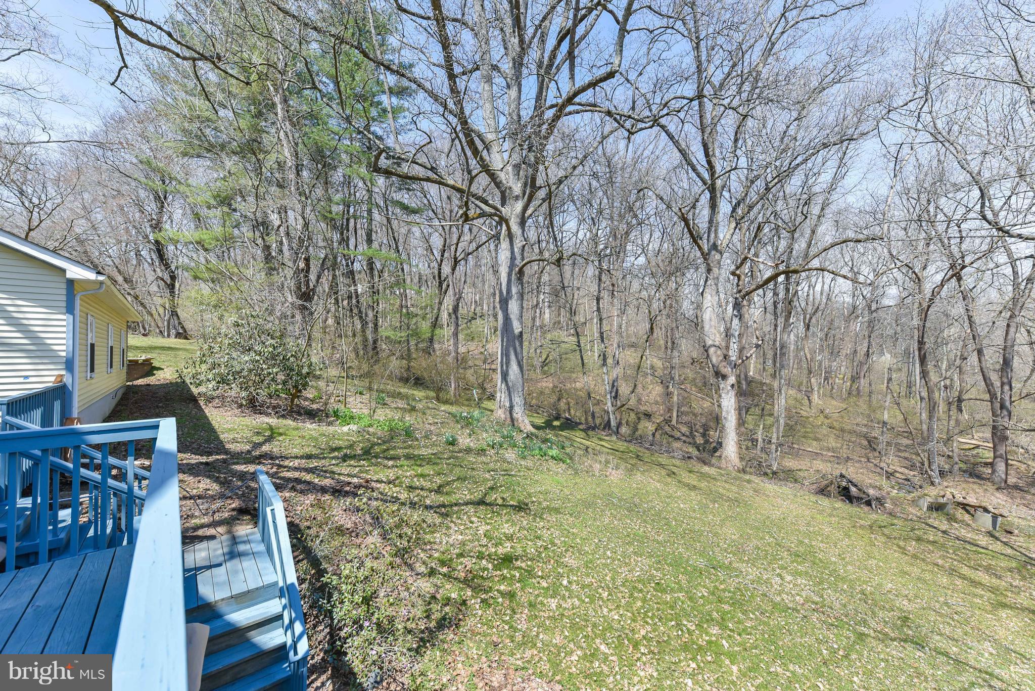 64 Rowlandsville Road Conowingo, MD 21918 - Photo 23 of 30 FABULOUS VIEWS FROM EVERYWHERE!