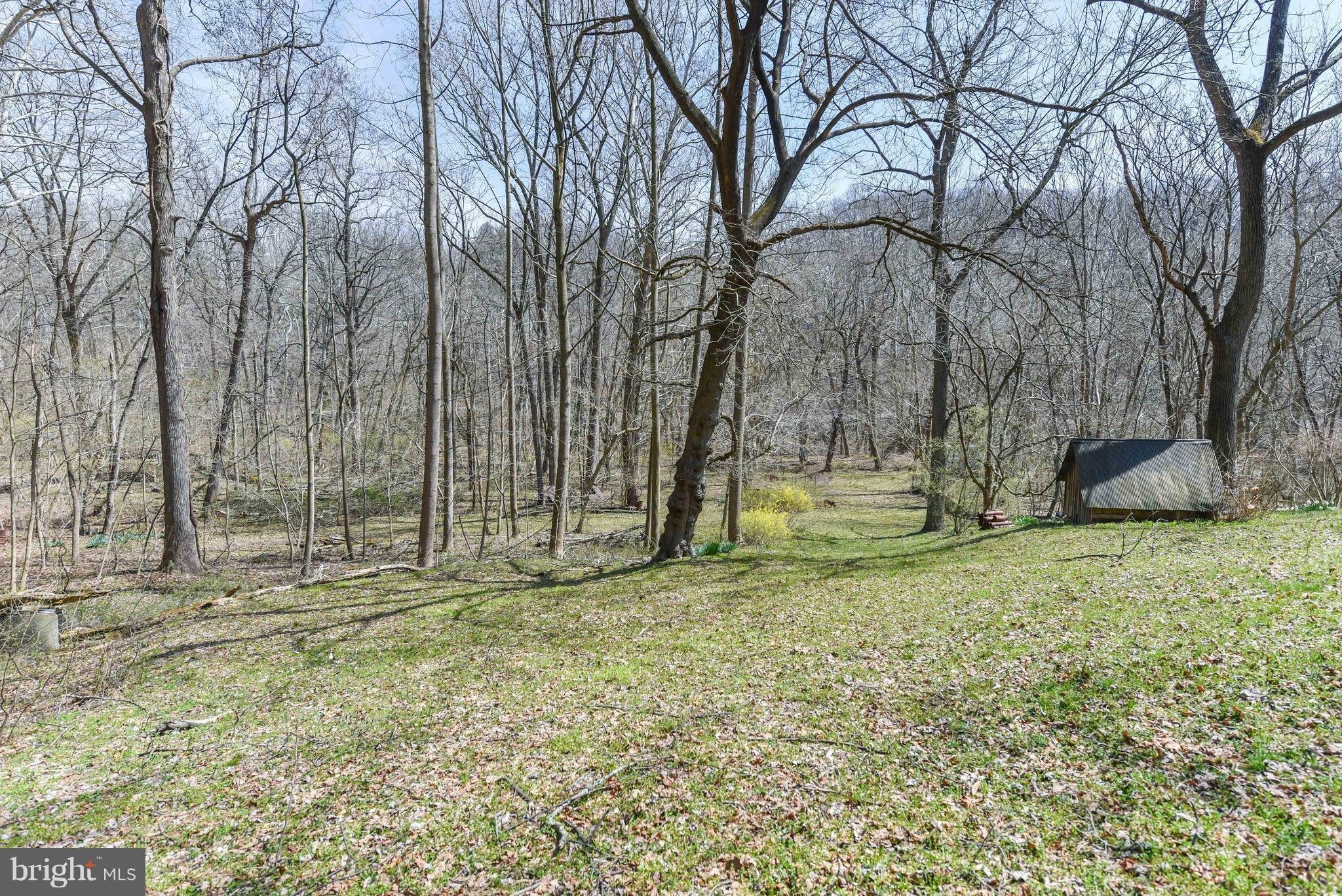 64 Rowlandsville Road Conowingo, MD 21918 - Photo 25 of 30 PLENTY OF ROOM FOR EVERYTHING