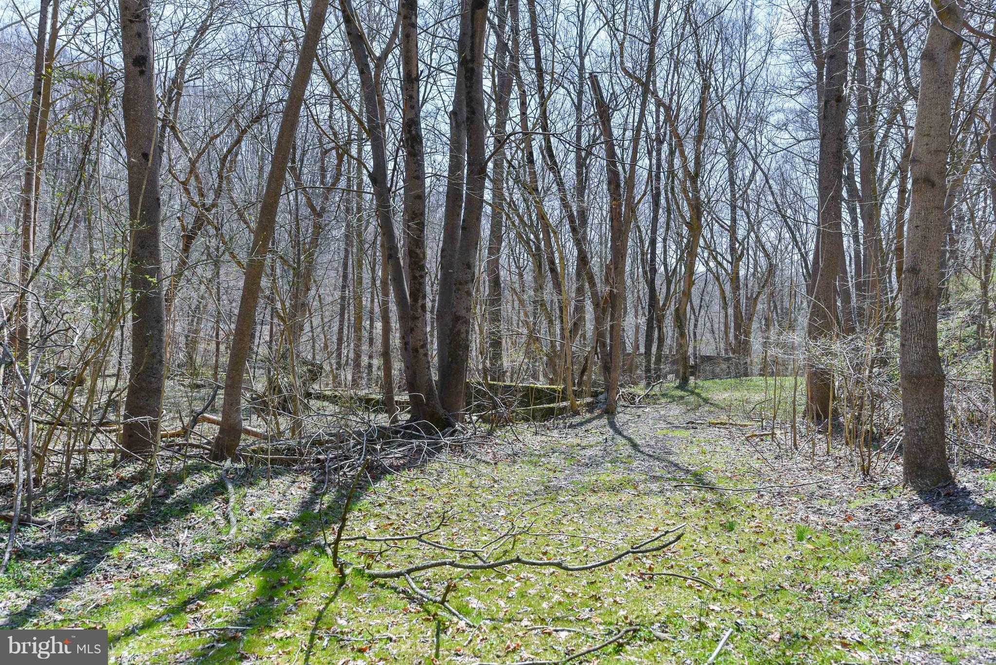 64 Rowlandsville Road Conowingo, MD 21918 - Photo 26 of 30 ESCAPE FROM THE REAL WORLD...