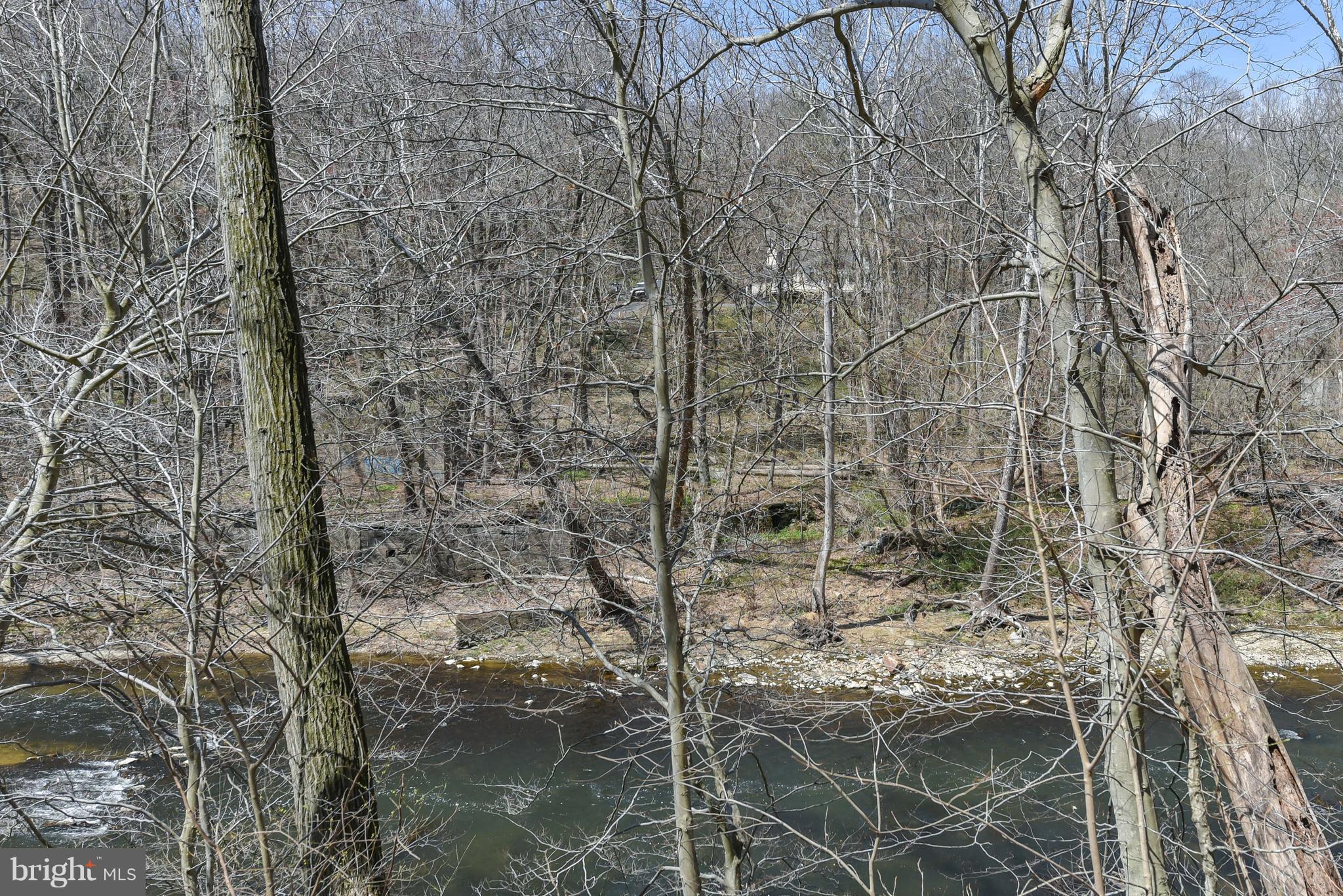 64 Rowlandsville Road Conowingo, MD 21918 - Photo 30 of 30 NATURE, NATURE, NATURE....