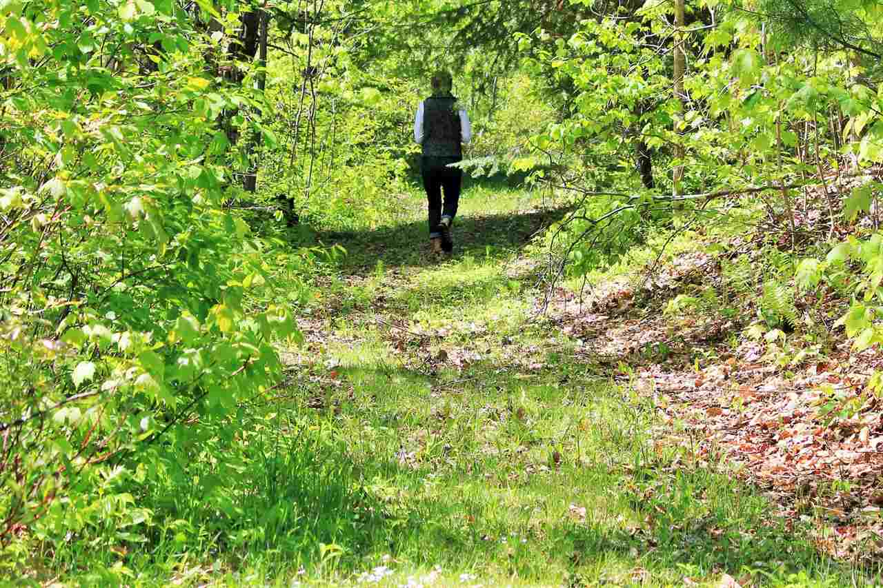 102 Old Cemetery Road Peacham, VT 05862 - Photo 28 of 36