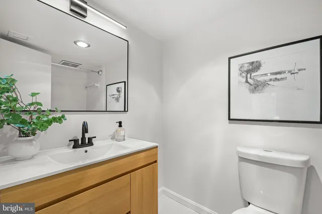 a living room with a couch and a potted plant
