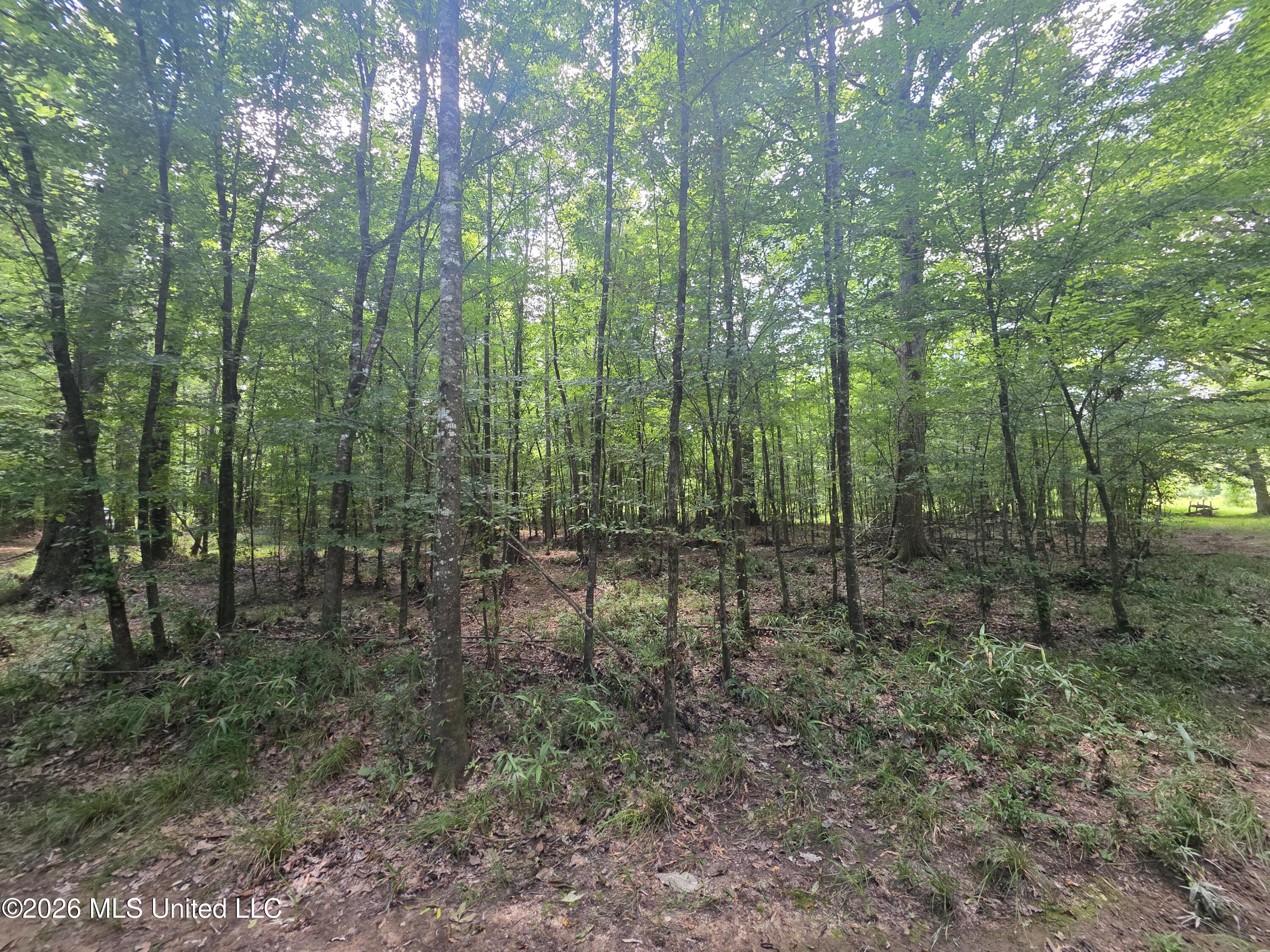 538 East Scrd Morton, MS 39117 - Photo 21 of 30 37132