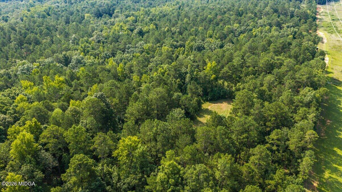 252 Rum Creek Road Juliette, GA 31046 - Photo 64 of 72 43-DJI_20260728225240_0013_D