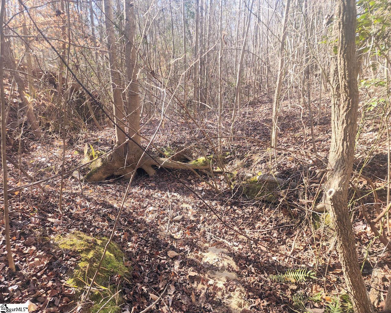 Holiday Dam Road Belton, SC 29627 - Photo 11 of 17