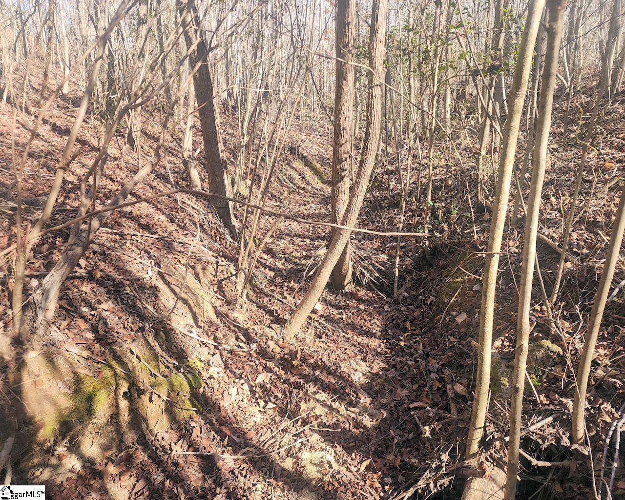 Holiday Dam Road Belton, SC 29627 - Photo 12 of 17