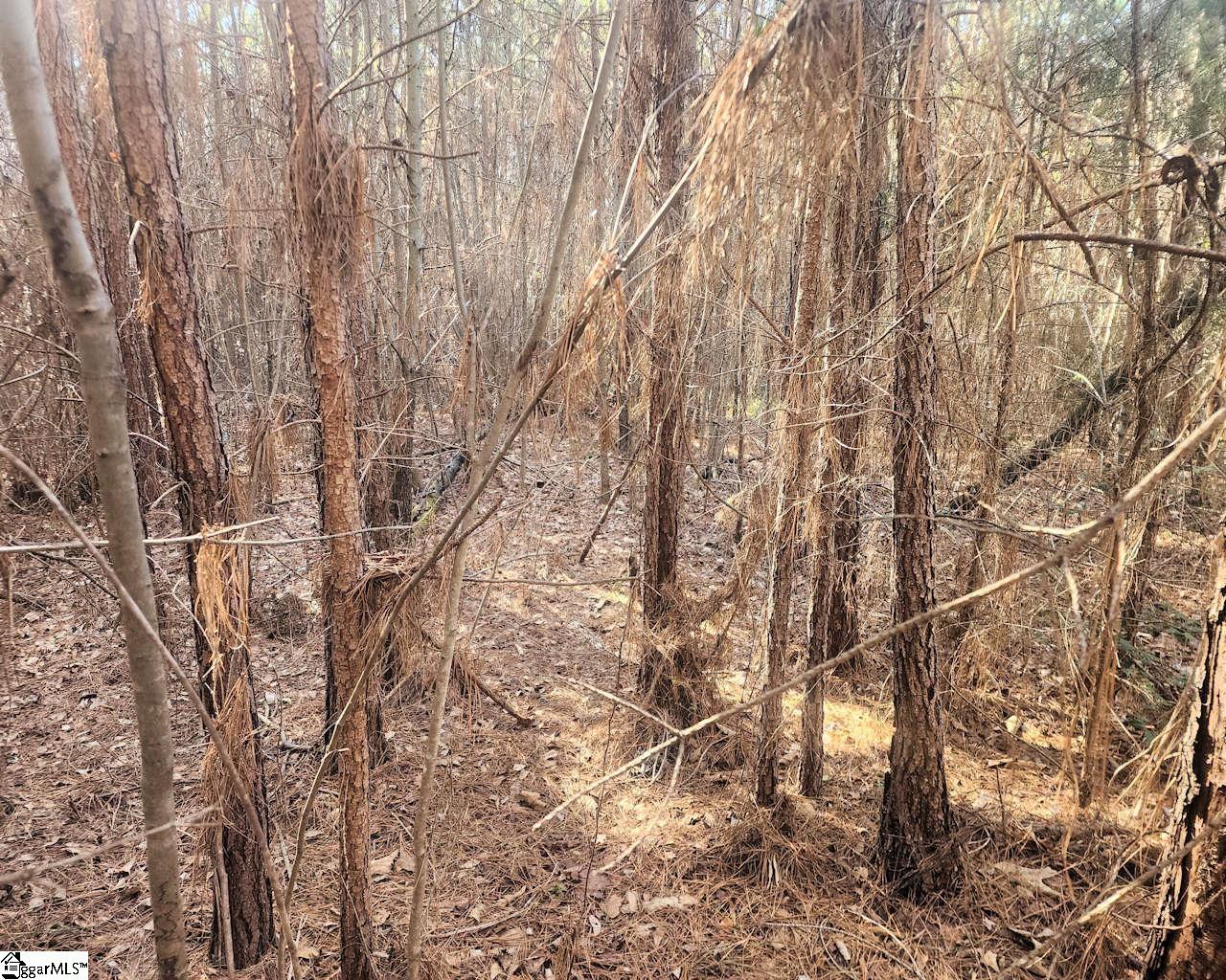 Holiday Dam Road Belton, SC 29627 - Photo 13 of 17