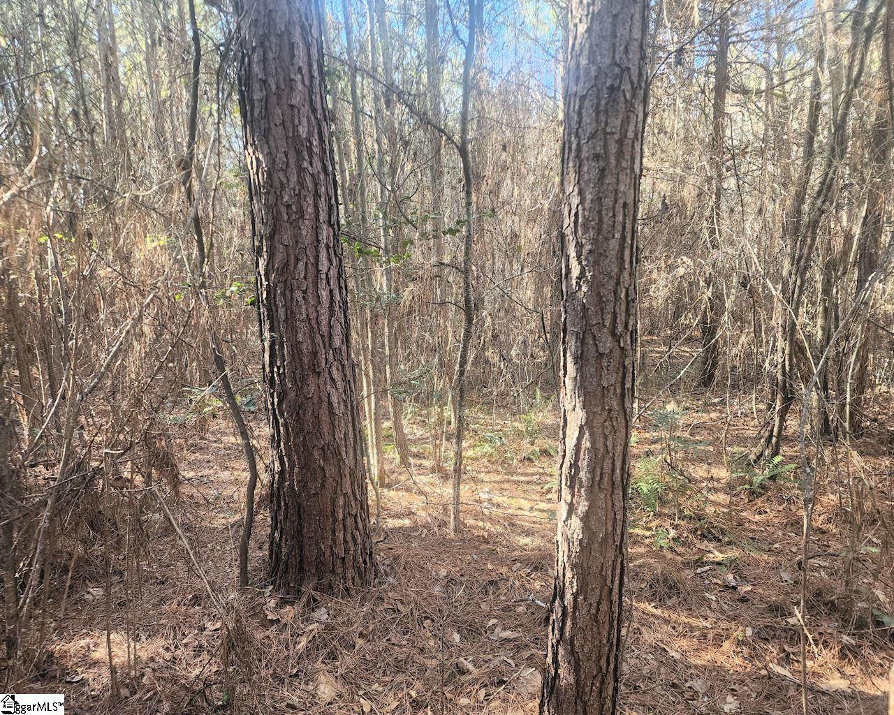 Holiday Dam Road Belton, SC 29627 - Photo 14 of 17