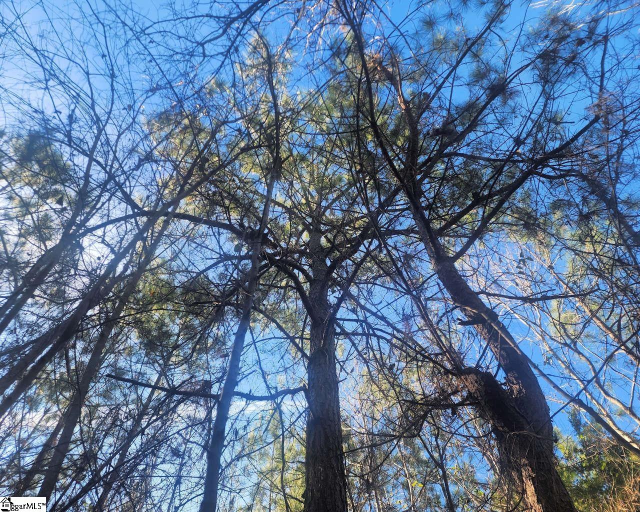 Holiday Dam Road Belton, SC 29627 - Photo 2 of 17
