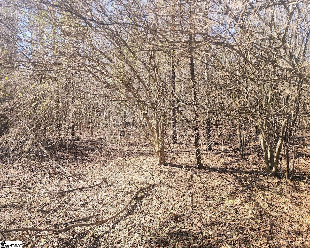 Holiday Dam Road Belton, SC 29627 - Photo 4 of 17