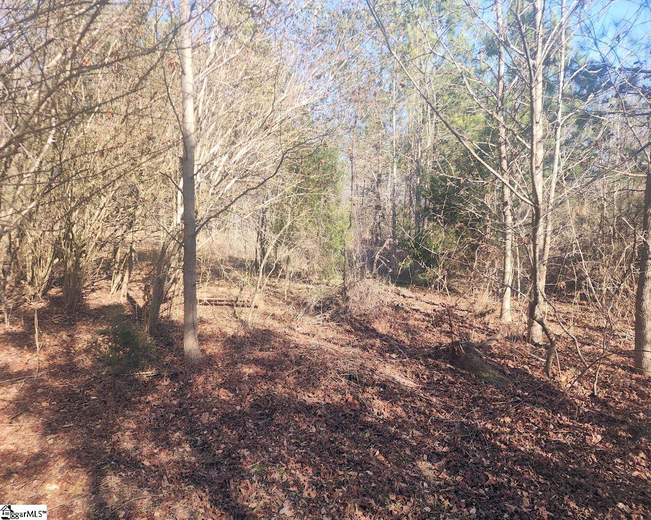 Holiday Dam Road Belton, SC 29627 - Photo 5 of 17