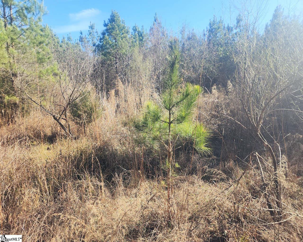 Holiday Dam Road Belton, SC 29627 - Photo 6 of 17