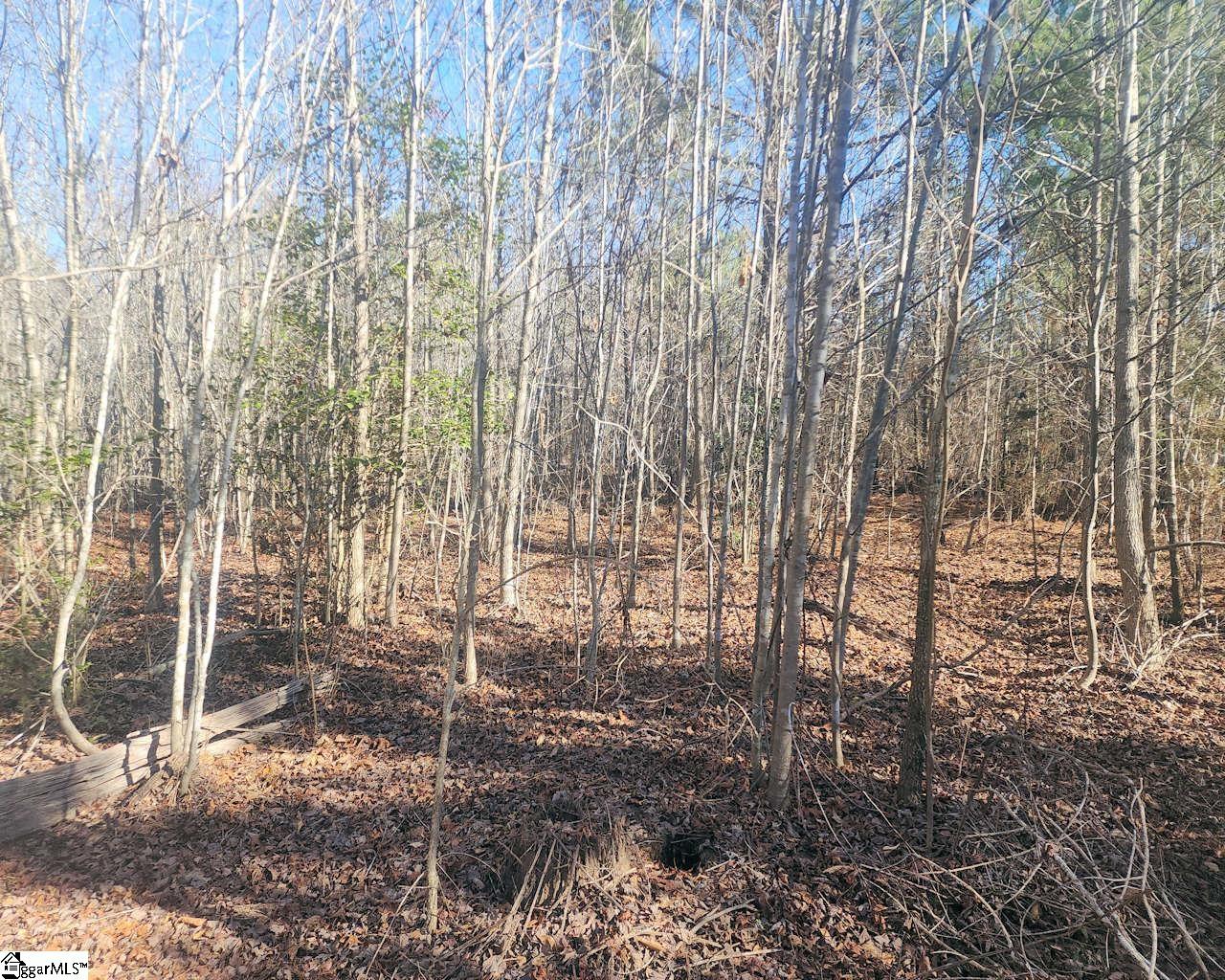 Holiday Dam Road Belton, SC 29627 - Photo 8 of 17