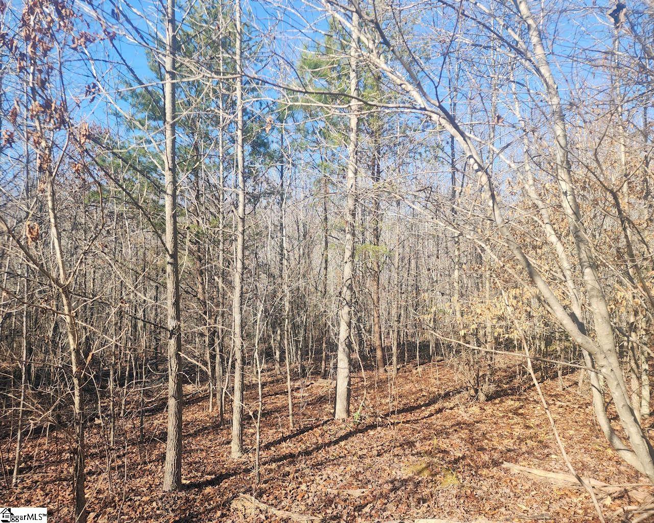 Holiday Dam Road Belton, SC 29627 - Photo 9 of 17
