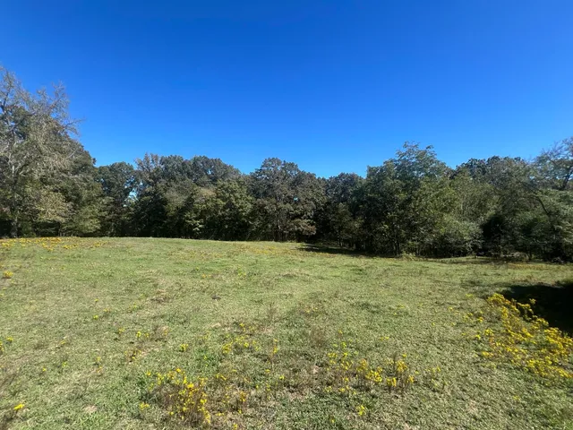 a view of outdoor space and yard