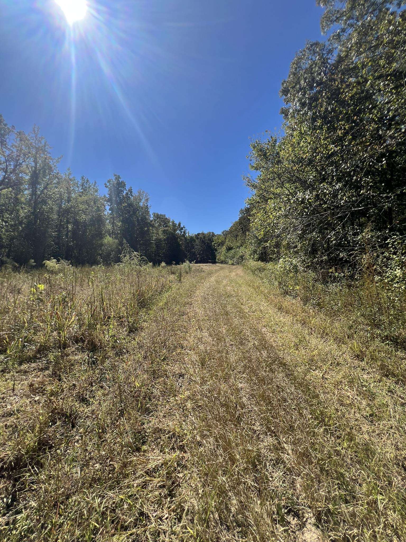 0 Walls Road Somerville, TN 38068 - Photo 11 of 15 a view of a field with an outdoor space